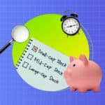 reasons not invest small cap funds