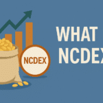 What is NCDEX: Understanding how the exchange functions