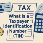 What is a Taxpayer Identification Number (TIN)? Definition, Usage, and Country-Wise Differences