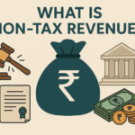 What is Non-Tax Revenue: An Explainer