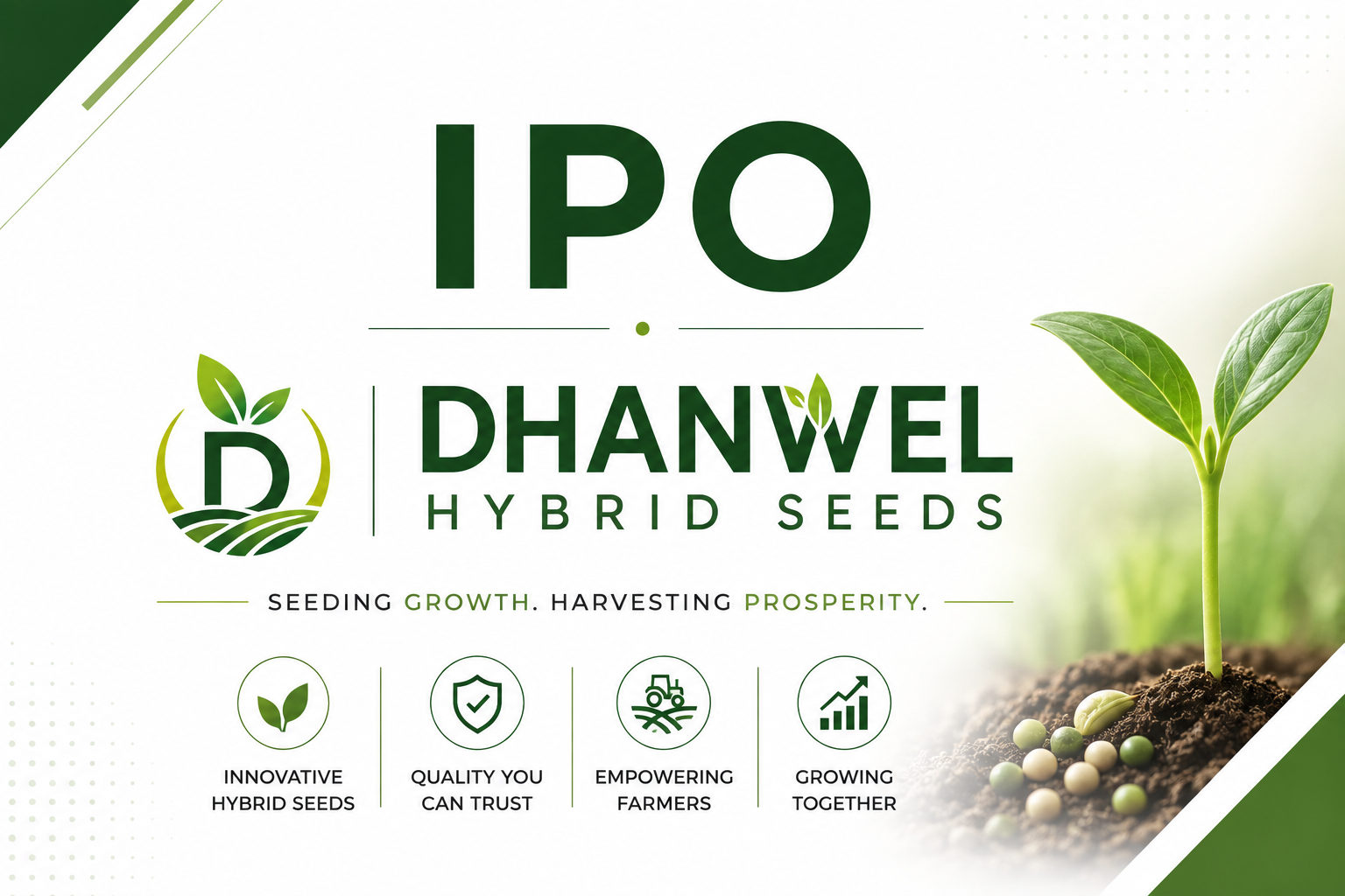 Dhanwel Hybrid Seeds IPO