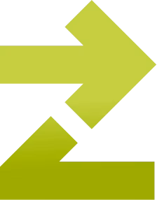 Build & host on Zing